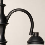Bild in Gallery-Viewer laden, Close view of curved black iron chandelier arm