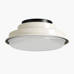 Bild in Gallery-Viewer laden, ceiling light finish