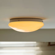 Wickes Flush Ceiling Light