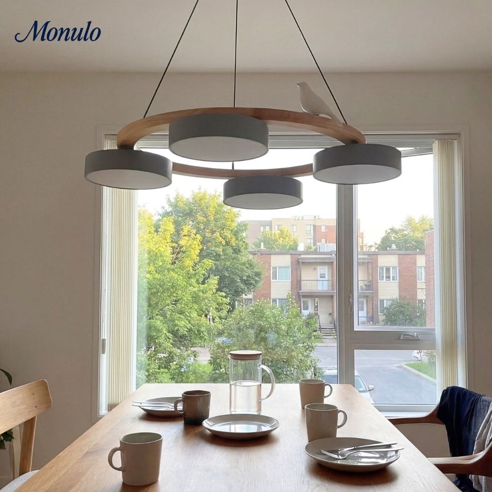 Modern Creative Colourful Circle Bird Chandelier