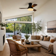 Black walnut ceiling fan light in a living room