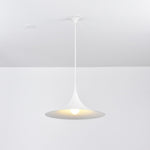 Bild in Gallery-Viewer laden, Arch-Shaped Aluminum Plug-In Pendant Light