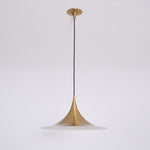 Bild in Gallery-Viewer laden, Arch-Shaped Aluminum Plug-In Pendant Light