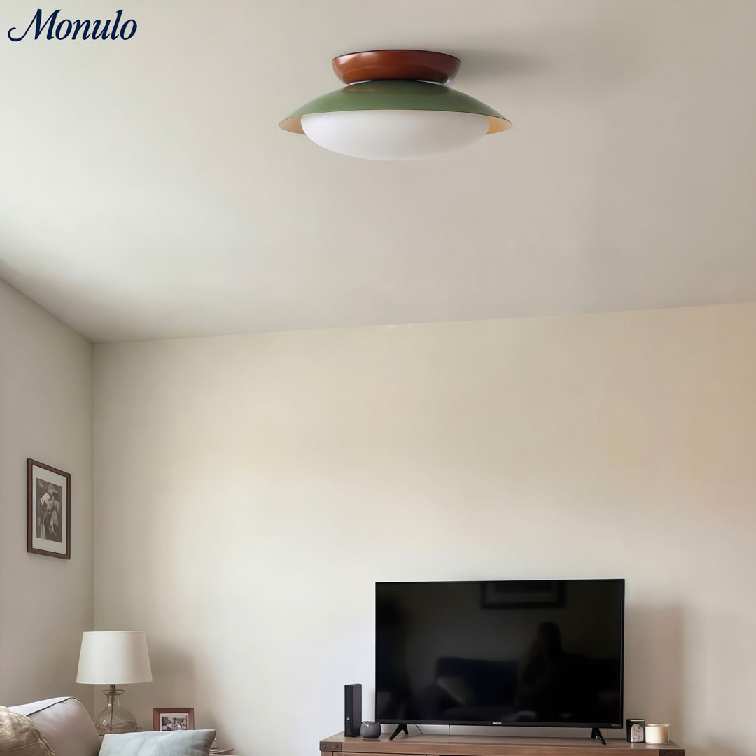 Lámpara de Techo Moderna Oribela Dome – Luz LED Suave para Baño y Sala de Estar