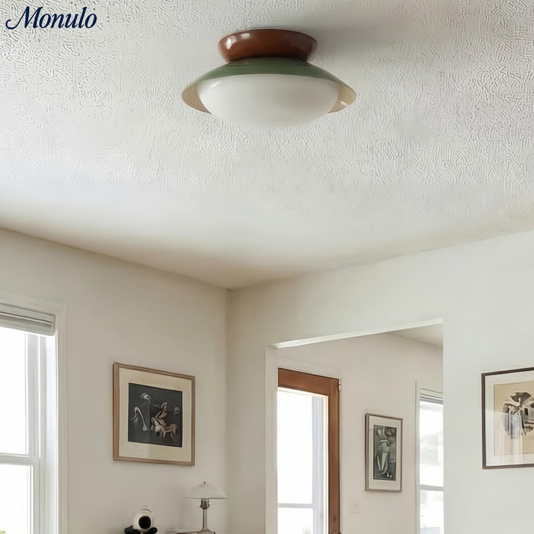 Lámpara de Techo Moderna Oribela Dome – Luz LED Suave para Baño y Sala de Estar