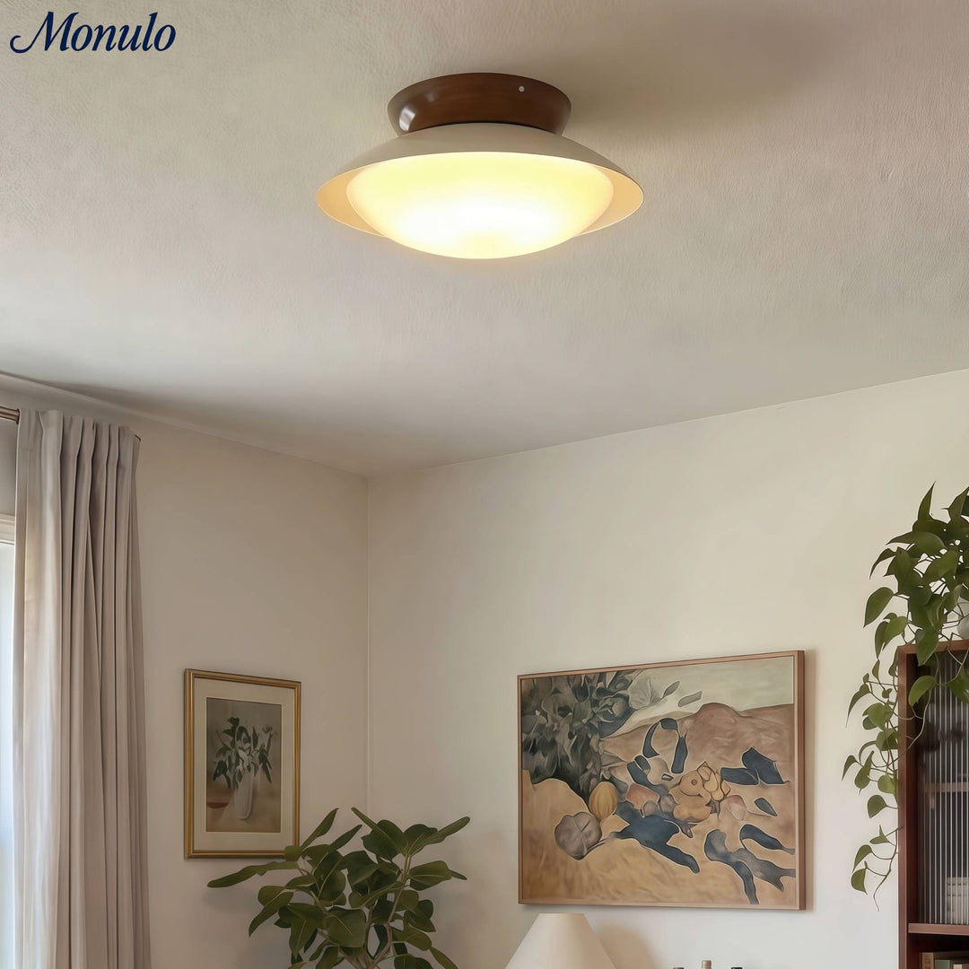 Lámpara de Techo Moderna Oribela Dome – Luz LED Suave para Baño y Sala de Estar