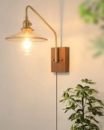 Cargar imagen en el visor de la Galería, Walnut-Backed Brass and Glass Plug-In Wall Lamp product view 21