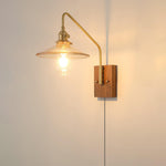 Cargar imagen en el visor de la Galería, Walnut-Backed Brass and Glass Plug-In Wall Lamp product view 17