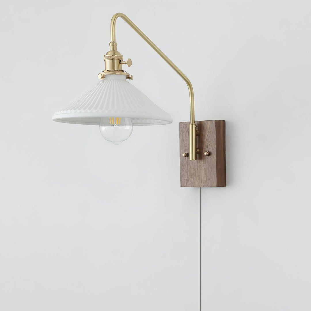 Walnut-Backed Brass and Glass Plug-In Wall Lamp product view 4