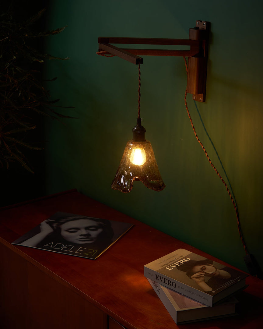 Adjustable Wood-Arm Hanging Plug-In Wall Lamp product view 9