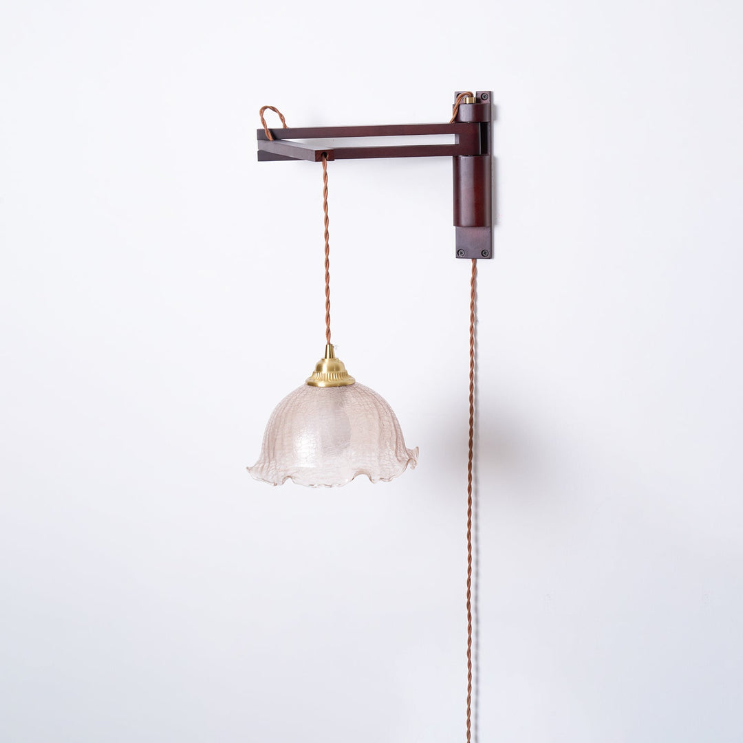 Five-Style Vintage Glass Plug-In Wall Lamp product view