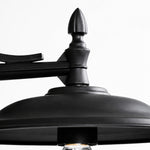 Cargar imagen en el visor de la Galería, Leviaxa Outdoor Waterproof Wall Sconce