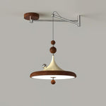 Load image into Gallery viewer, Ballora Swing Arm Pendant Lamp