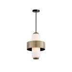 Charger l&#39;image dans la visionneuse de galerie, Lampe suspendue Melrose
