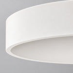 Charger l'image dans la visionneuse de galerie, Stepped Shade Outer Ring Steel Ceiling Light