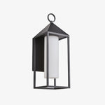 Bild in Gallery-Viewer laden, Allora Black Outdoor Wall Lamp with White Glass Shade