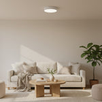 Charger l'image dans la visionneuse de galerie, Plafonnier LED Rond Minimaliste Rondi - Design Circulaire en Fer pour Salon et Chambre