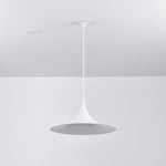 Bild in Gallery-Viewer laden, Arch-Shaped Aluminum Plug-In Pendant Light