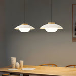 Bild in Gallery-Viewer laden, Saucer Plastic Plug-In Pendant Lamp