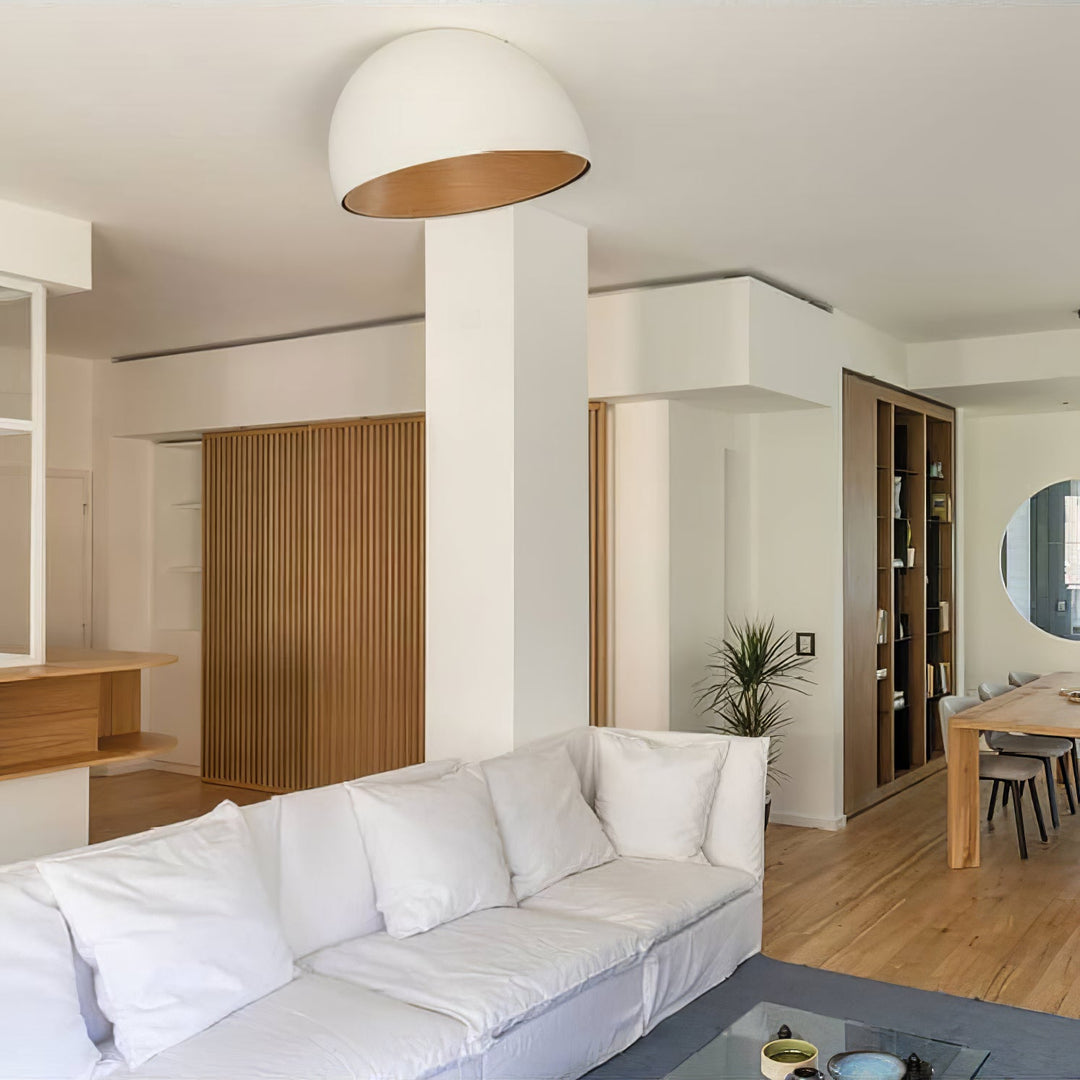 Lampe de plafond Duo
