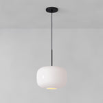 Load image into Gallery viewer, Lumivelle Pebble Pendant Light - Adjustable Glass Shade - Modern Lighting

