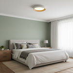 Charger l'image dans la visionneuse de galerie, Luminaire de plafond minimaliste Cedronis - Solution d’éclairage intérieur moderne