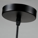 Cargar imagen en el visor de la Galería, Lámpara colgante de vidrio con diseño de animal Beastlynn - Luz colgante creativa con diseño de zoológico para habitación infantil N23