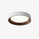 Charger l'image dans la visionneuse de galerie, Luminaire de plafond minimaliste Cedronis - Solution d’éclairage intérieur moderne