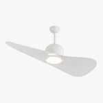 Cargar imagen en el visor de la Galería, Designer Hat Two-Blade Ceiling Fan Light