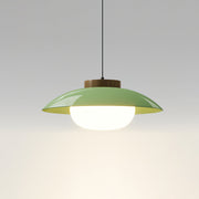 Saucer Plastic Plug-In Pendant Lamp
