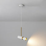 Charger l'image dans la visionneuse de galerie, Suspension LED en métal nordique Spot Light Hanglamp Armaturen