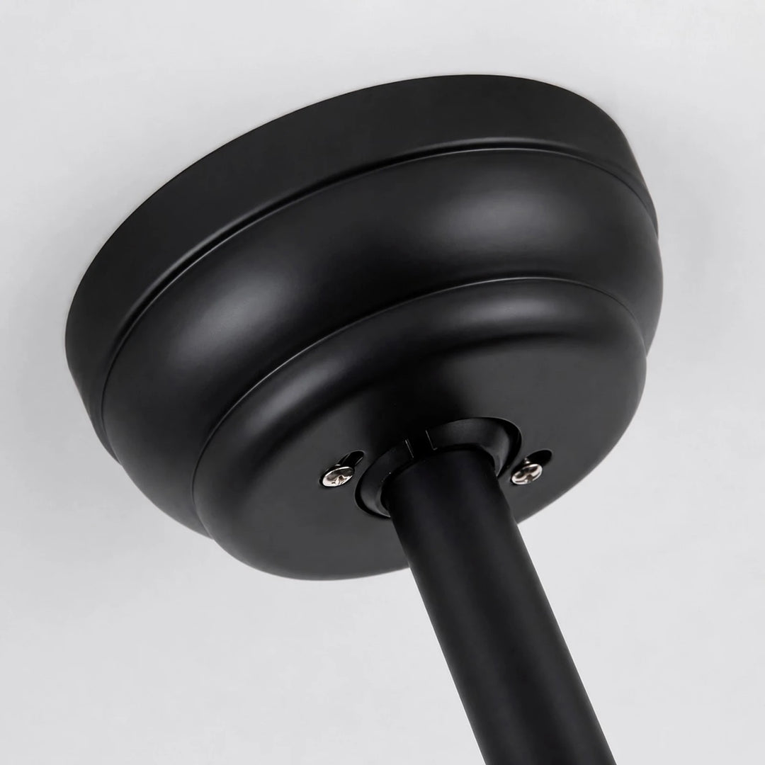 Black ceiling canopy detail