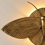 Charger l'image dans la visionneuse de galerie, Close view of the ribbed moth wing and antenna in warm light