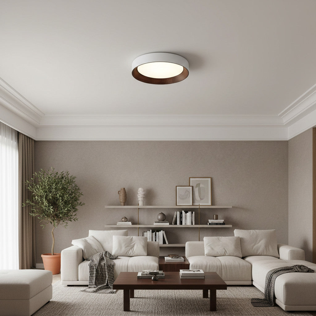 Lámpara de Techo Contemporánea Crelina - Luminaria Empotrada para Pasillo y Comedor U16