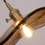 Charger l'image dans la visionneuse de galerie, Amber Floral Glass Brass Swag Pendant