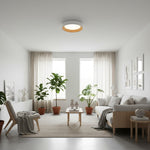 Charger l'image dans la visionneuse de galerie, Luminaire de plafond minimaliste Cedronis - Solution d’éclairage intérieur moderne