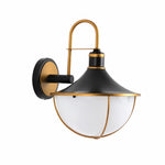 Bild in Gallery-Viewer laden, Black and Gold Outdoor Wall Lantern