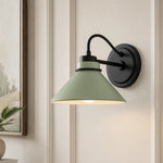 Bild in Gallery-Viewer laden, Aurenza Gebogene Arm Globe Wandlampe – Moderne Industrielle Wandleuchte für Badezimmer, Schlafzimmer und Flur