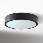 Crelina Rounded Diffuser Ceiling Light – Stylish Minimalist Flush Mount for Residential Spaces