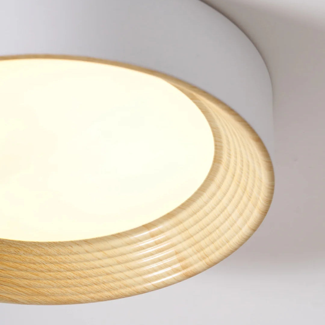 Luminaire de plafond minimaliste Cedronis - Solution d’éclairage intérieur moderne