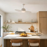 Cargar imagen en el visor de la Galería, Designer Hat Two-Blade Ceiling Fan Light scene image