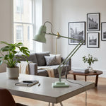 Load image into Gallery viewer, Classic Multicolor Desk Lamp - Adjustable Spring-Arm for Study Room
