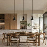 Black walnut pendant light in a hallway setting