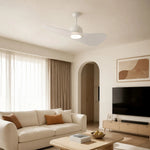 Cargar imagen en el visor de la Galería, Designer Hat Two-Blade Ceiling Fan Light scene image