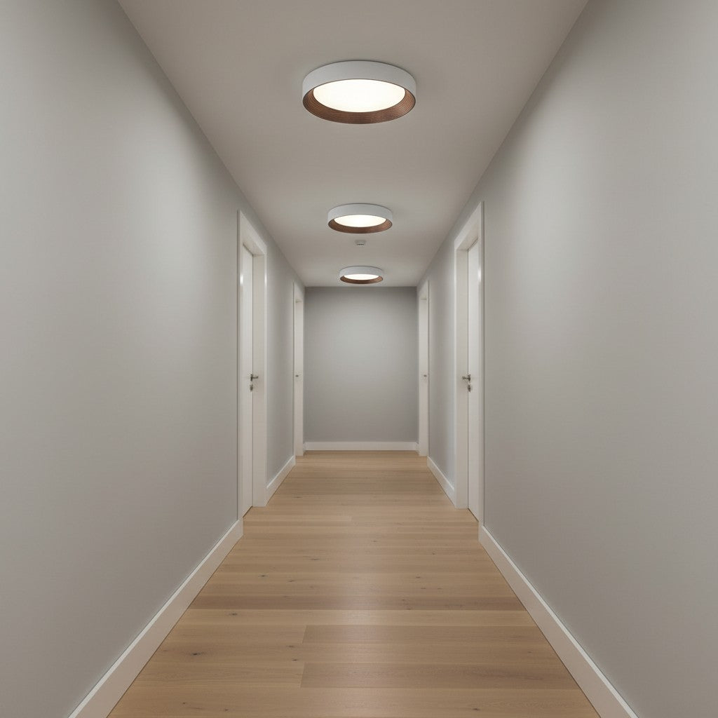 Luminaire de plafond minimaliste Cedronis - Solution d’éclairage intérieur moderne