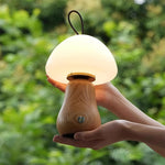 Load image into Gallery viewer, Nubia Table Lamp