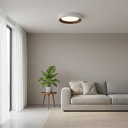 Lámpara de Techo Contemporánea Crelina - Luminaria Empotrada para Pasillo y Comedor U16