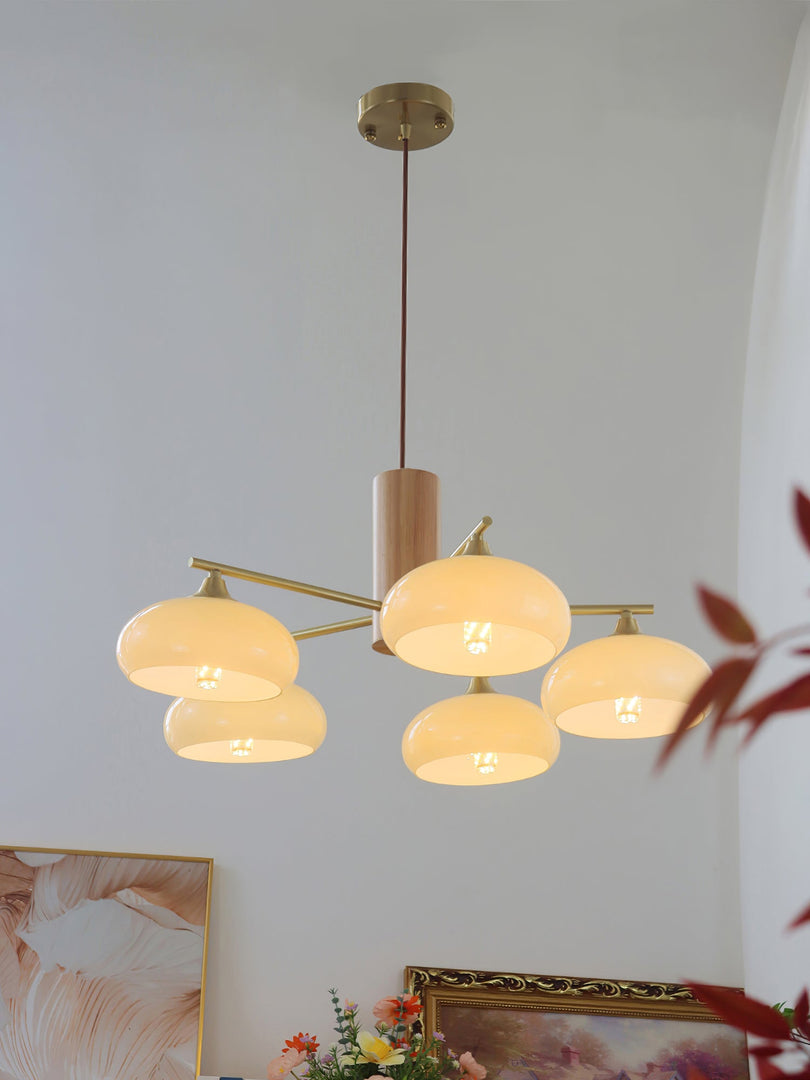 Elliptical Persimmon Chandelier