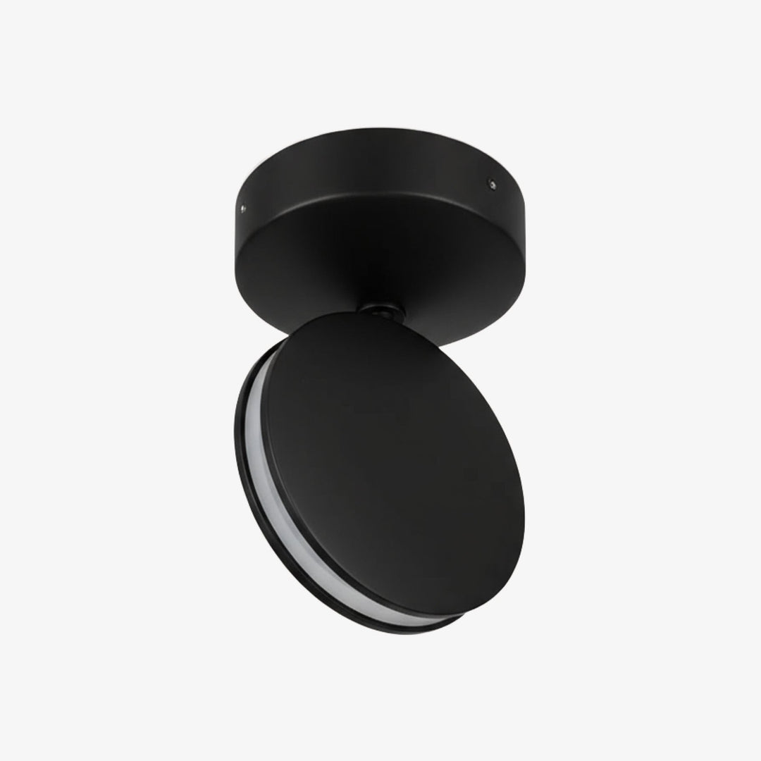 SPECTRA black aluminium LED ceiling and wall light