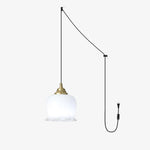 Load image into Gallery viewer, Brass Resin Petal Plug-In Pendant